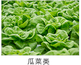 (j)ϻ혌}(cng)(k)\,}(cng)(ch)\,бP(pn),бP(pn),؛a(chn)S